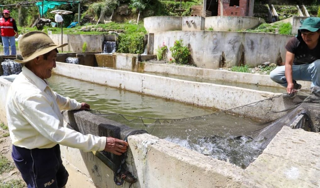 Día del Pescador: Damián y una vida dedicada a las truchas, una historia de éxito en Junín