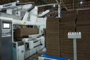 Día Mundial del Medio Ambiente: el modelo de triple impacto que une al reciclador con la agroexportación