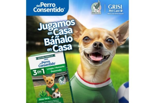 Mascotas pamboleras: Cómo preparar a tu perro para disfrutar la fiesta del futbol en el hogar