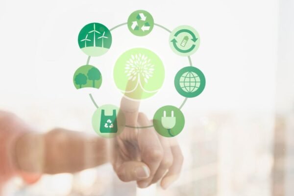 Cinco iniciativas que las empresas pueden aplicar para reducir su impacto ambiental