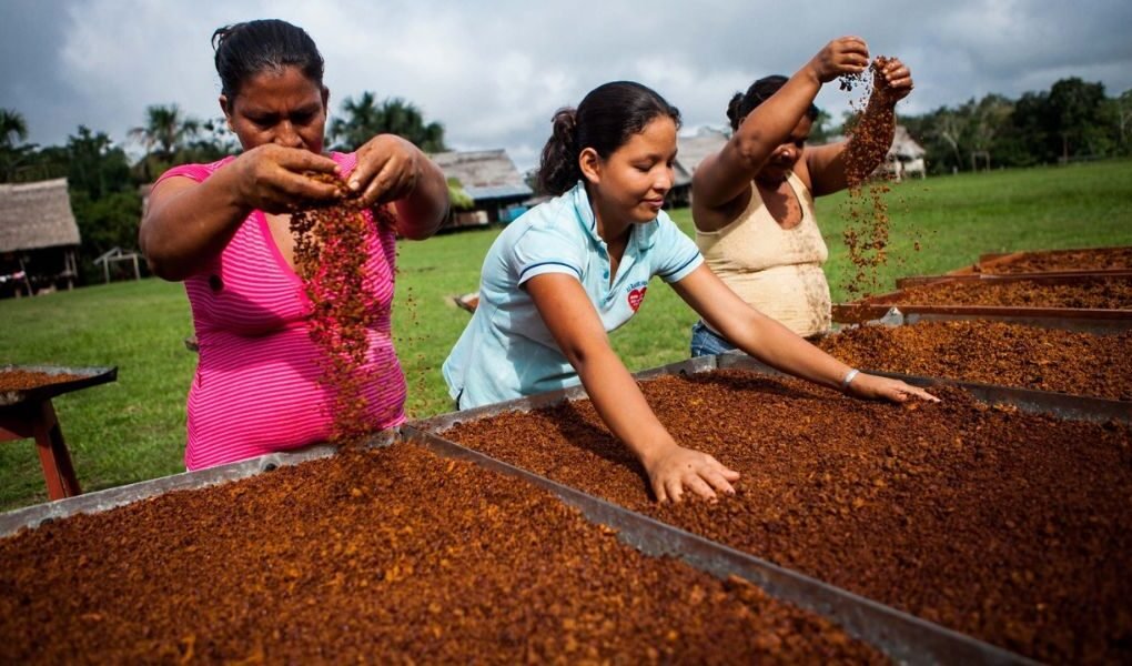 Cajamarca se convertirá en el centro de la innovación y reunirá a 150 líderes en encuentro interregional