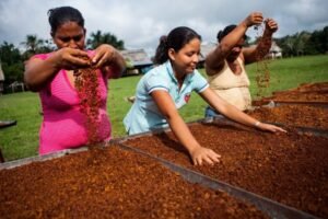 Cajamarca se convertirá en el centro de la innovación y reunirá a 150 líderes en encuentro interregional