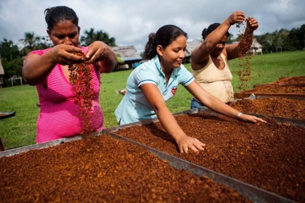 Cajamarca se convertirá en el centro de la innovación y reunirá a 150 líderes en encuentro interregional