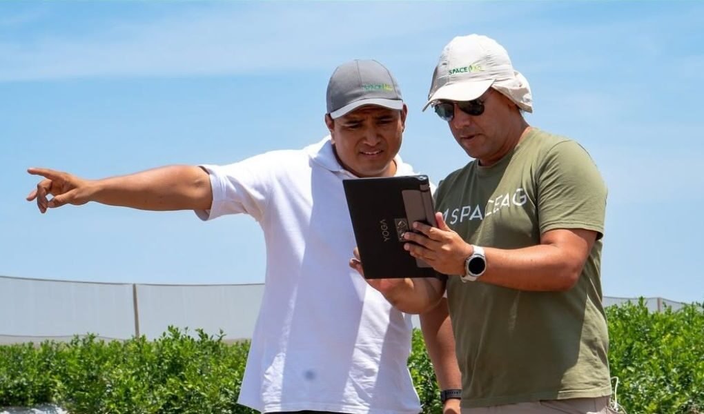 Con drones, satélites e inteligencia artificial: las innovaciones peruanas que están transformando la agricultura con el impulso de PRODUCE