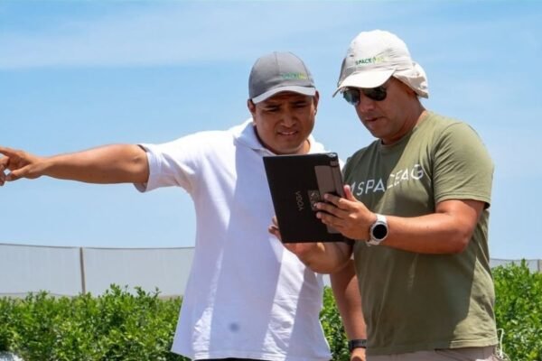 Con drones, satélites e inteligencia artificial: las innovaciones peruanas que están transformando la agricultura con el impulso de PRODUCE