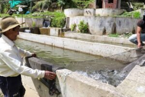 Día del Pescador: Damián y una vida dedicada a las truchas, una historia de éxito en Junín