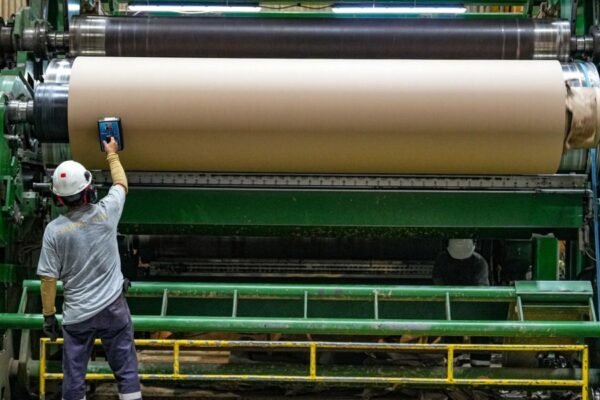 Innovación, diseño y eficiencia: las tendencias que transformarán la industria del empaque