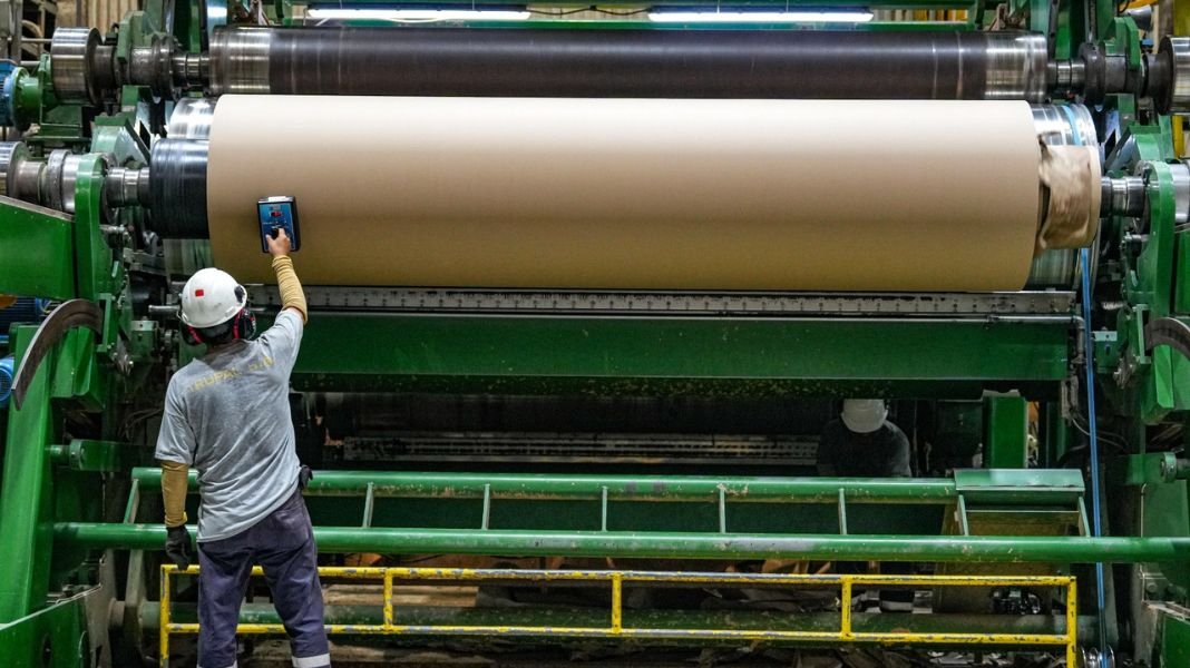 Innovación, diseño y eficiencia: las tendencias que transformarán la industria del empaque