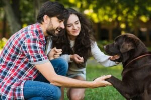 Día Mundial de las Zoonosis: prevenir enfermedades que se transmiten entre animales y personas protege la salud pública