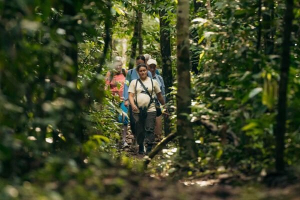 Kuaii Amazonas: donde el bosque te recibe antes de llegar en la Amazonía Peruana