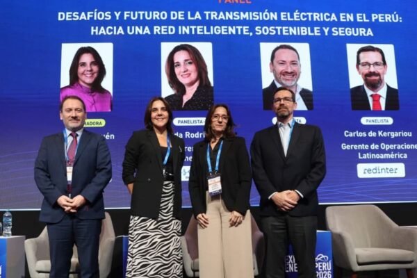 Digitalización y una regulación proactiva son claves para promover una transmisión inteligente en el Perú