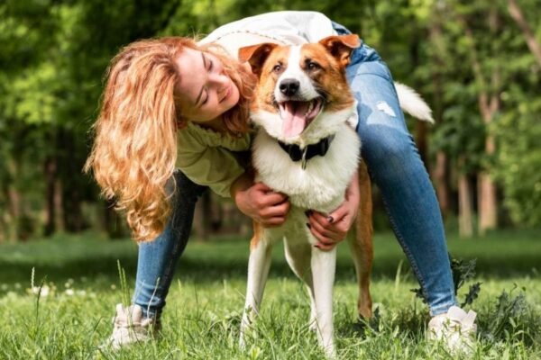 Día del Perro en Perú: más de 6 millones de perros en abandono refuerzan la urgencia de la tenencia responsable y el cuidado preventivo