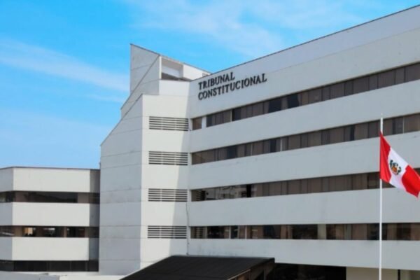 TC ratifica el derecho a la protesta como derecho fundamental tras declarar inconstitucional norma que modificaba tal derecho