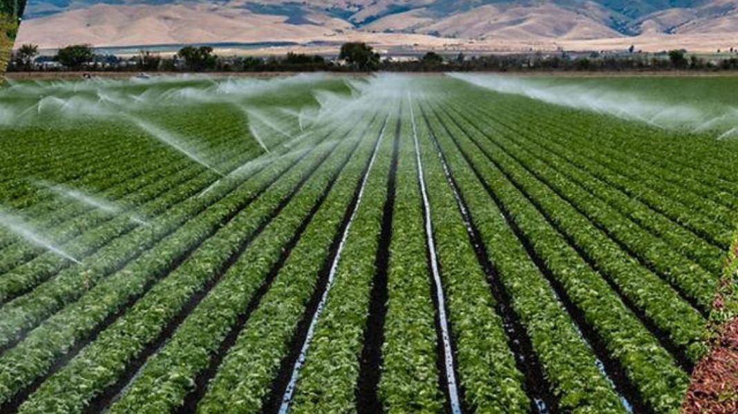 El agro peruano enfrenta el desafío de innovar para mantener su competitividad global