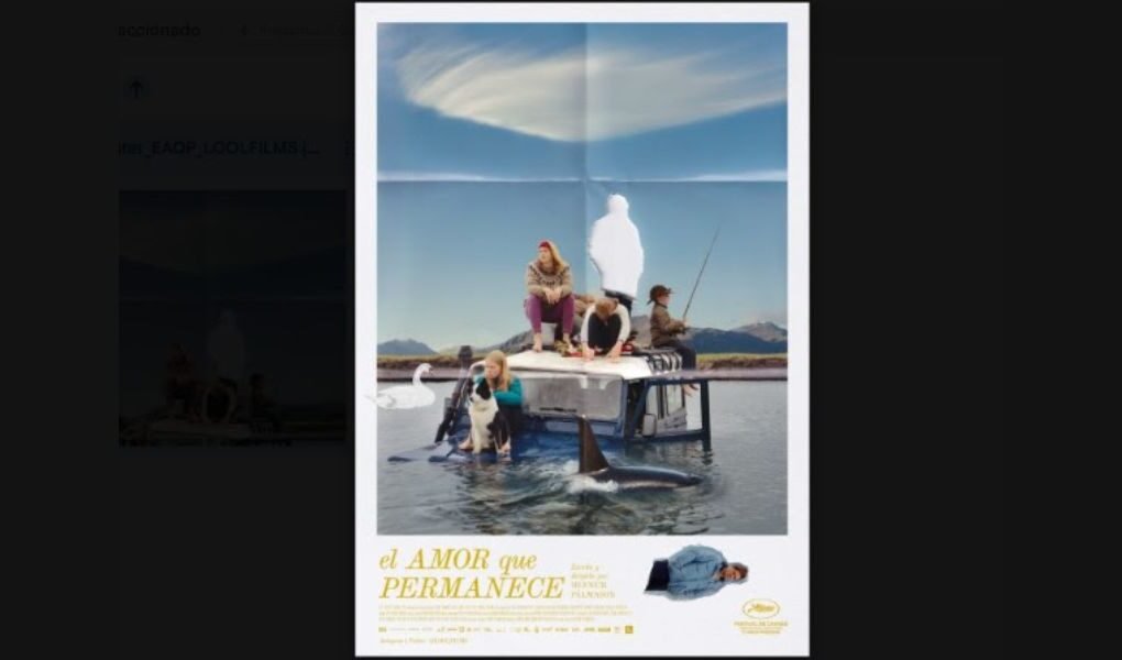 ¡Estreno! La perrita que ganó en Cannes y ‘El amor que permanece’ llegan a cines mexicanos