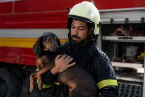 Sismos en Perú: ¿Cómo proteger a nuestros perros y gatos ante una emergencia?