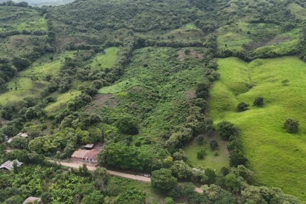 ¿Terreno o departamento? Lo que debes evaluar antes de invertir tu dinero