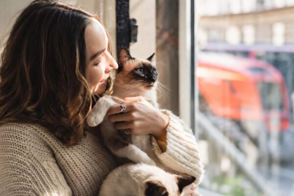 1 de cada 4 familias peruanas tiene un gato: cinco claves para cuidar su salud y bienestar