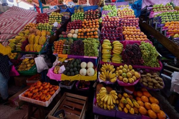 ADEX busca diversificar oferta de frutas peruanas en el exterior