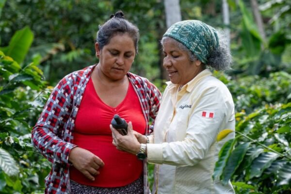 Más de 600 productores amazónicos fortalecen su producción libre de deforestación para posicionarse en el mercado europeo