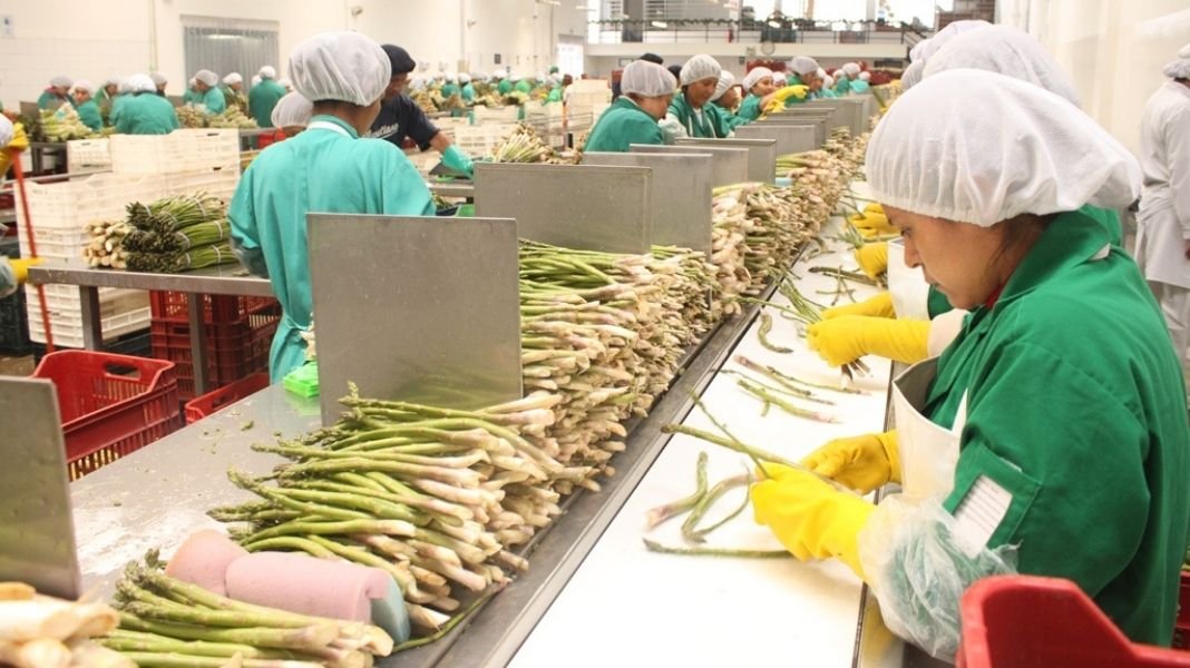 Empleos directos asociados a exportaciones tuvieron un alza de 7.6% a junio