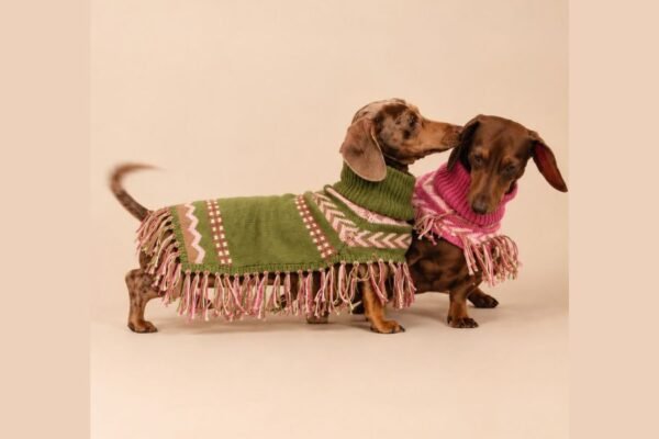 De Lima a París: Mister Doggy será la primera marca peruana en participar en Paris Dog Fashion Week
