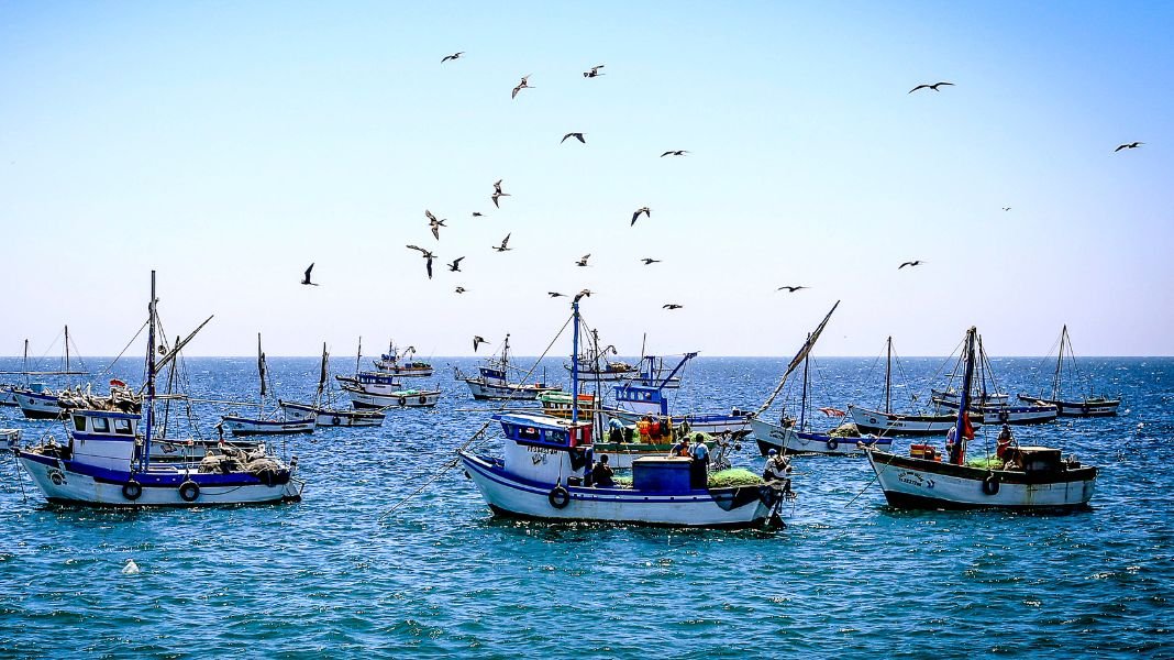 PRODUCE fortalece la pesca y acuicultura formal con más de 1,300 habilitaciones sanitarias en seis meses