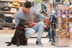 El boom de los productos para mascotas: ¿Qué están comprando los hogares peruanos?