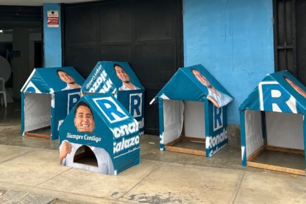 Cieneguilla: transforman material electoral en refugios para mascotas en abandono y bolsas de compra para madres de ollas comunes
