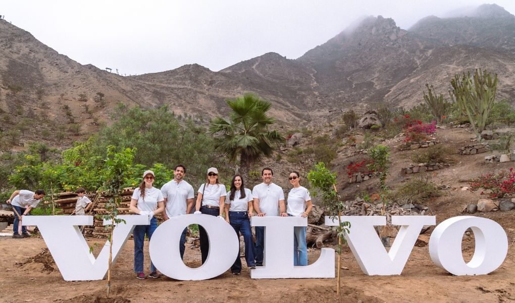 Volvo realiza la cuarta edición de su iniciativa de plantación de árboles en Lima junto a Entre Árboles