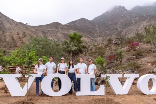 Volvo realiza la cuarta edición de su iniciativa de plantación de árboles en Lima junto a Entre Árboles