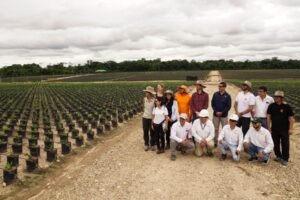 Cacao y palma en Pucallpa: cómo Paisaje Clima Perú contribuye a una producción más sostenible
